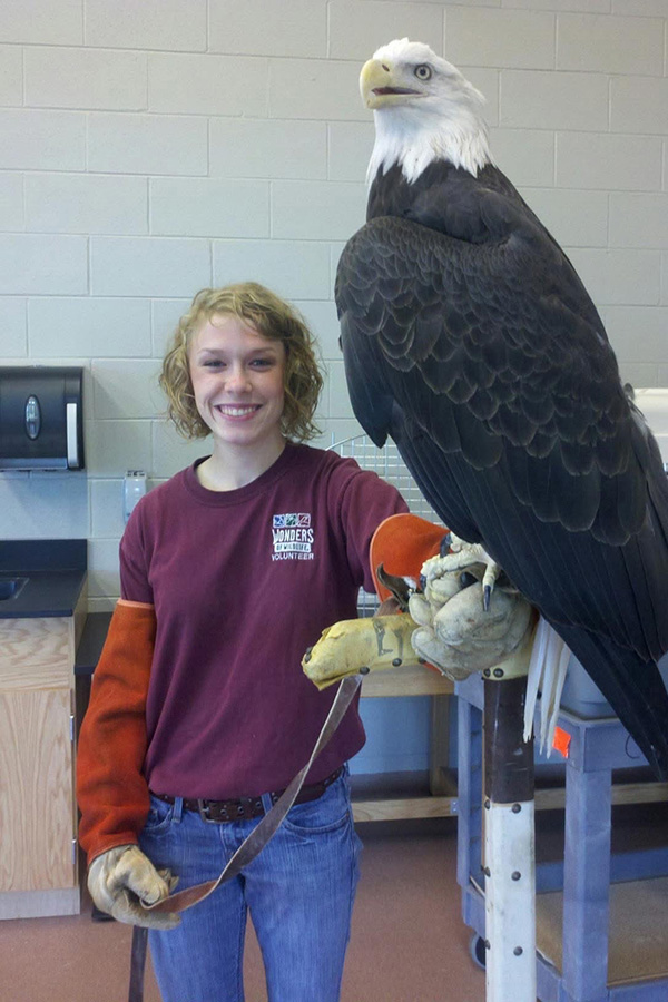An animal handler smiling with our bald eagle, Capella, perched on her glove in the Wonders of Wildlife facility. 