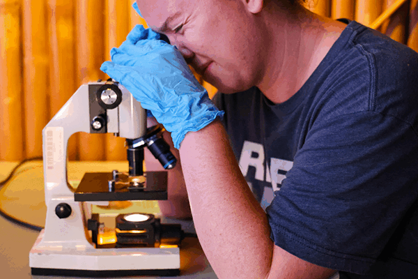 A woman wearing gloves examines something through a microscope.