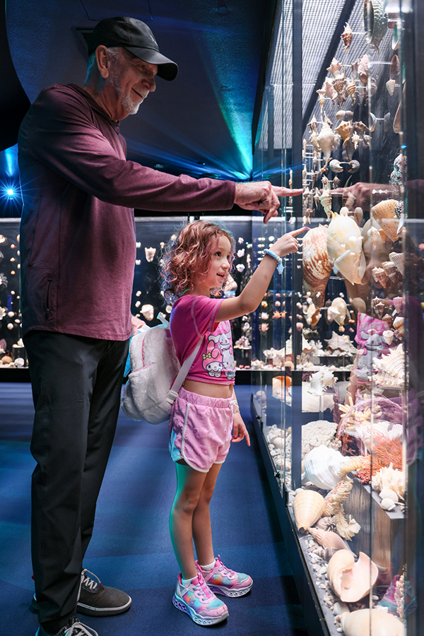 A father and young daughter stand next to each other pointing into a glass case full of seashells.
