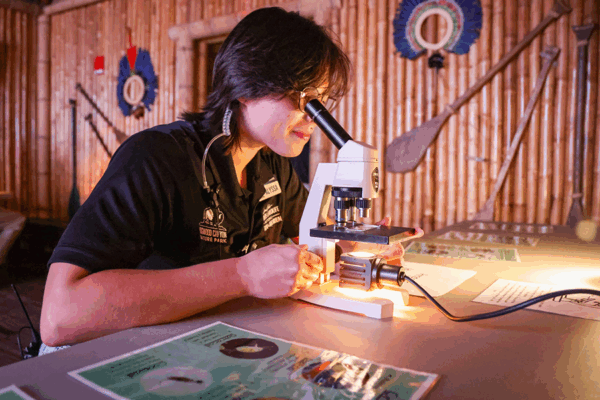 A woman examines something through a microscope.