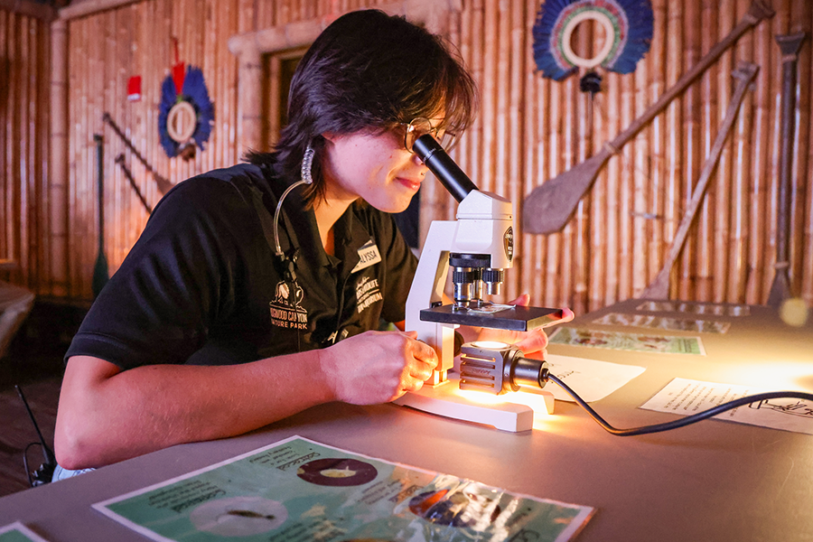 A woman examines something through a microscope.