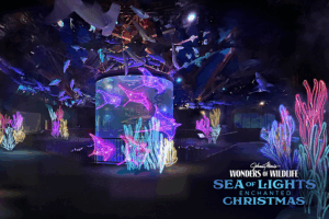 An aquarium exhibit filled with shipwreck theming and aquatic creatures is decorated with neon-colored coral and stingrays.