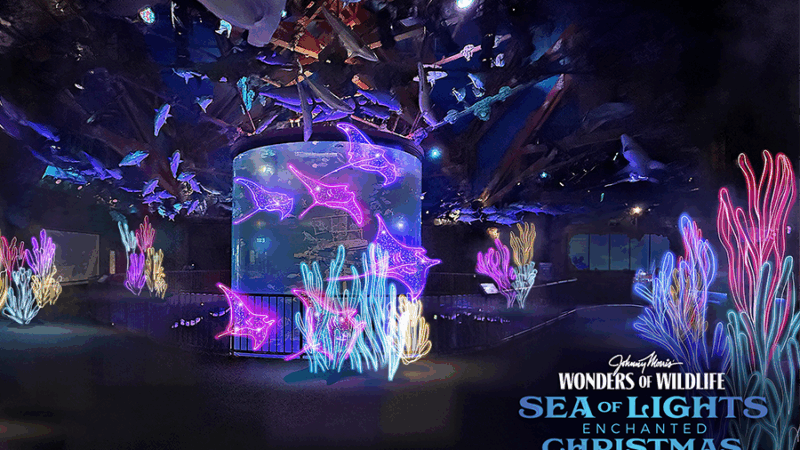 An aquarium exhibit filled with shipwreck theming and aquatic creatures is decorated with neon-colored coral and stingrays.