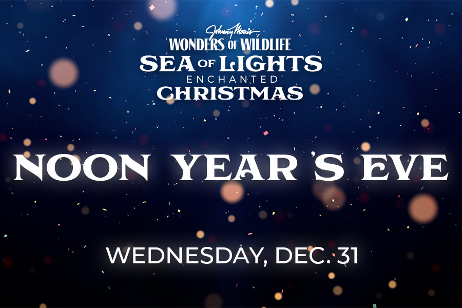 Wonders of Wildlife Sea of Lights Enchanted Christmas NOON YEAR'S EVE Wednesday, Dec. 31
