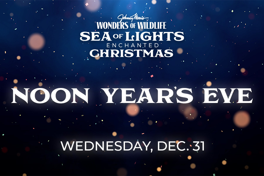 Wonders of Wildlife Sea of Lights Enchanted Christmas NOON YEAR'S EVE Wednesday, Dec. 31