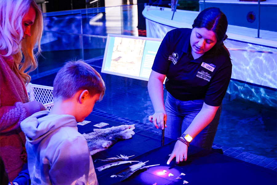 A staff member points at an artifact on a black table while a mother and son watch.