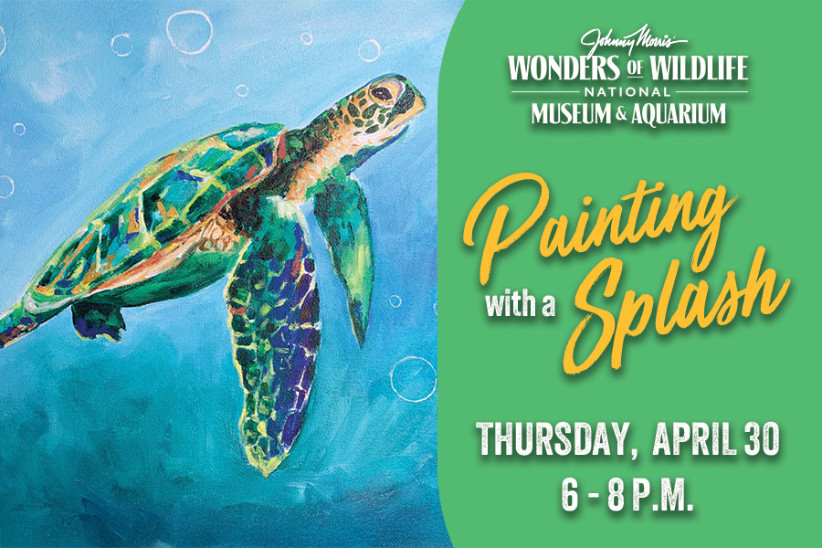 A painting of a green sea turtle in the sea. Wonders of WIldlife National Museum and Aquarium Painting with a Splash Thursday, April 30 6 - 8 p.m.