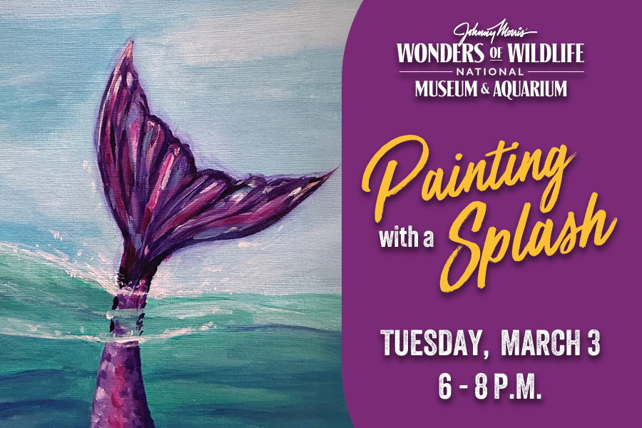 Wonders of Wildlife National Museum & Aquarium Painting with a Splash Tuesday, March 3 6 - 8 p.m.