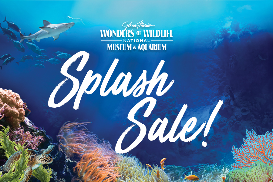 Wonders of Wildlife National Museum & Aquarium SPLASH SALE
