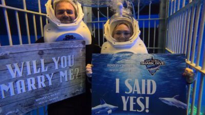 A man and woman in dive gear and helmets stand underwater in a dive cage holding signs. The man's says "Will you marry me?" and the woman's says "I said Yes!"