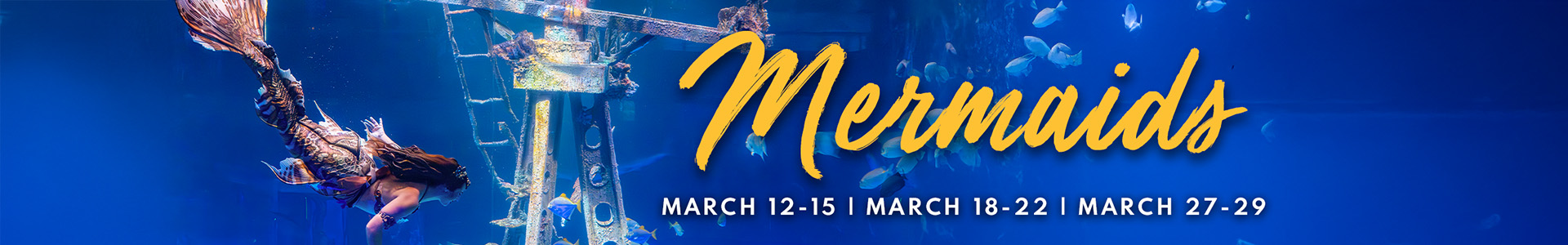 Mermaids March 12-15 | Mach 18-22 | March 27-29
