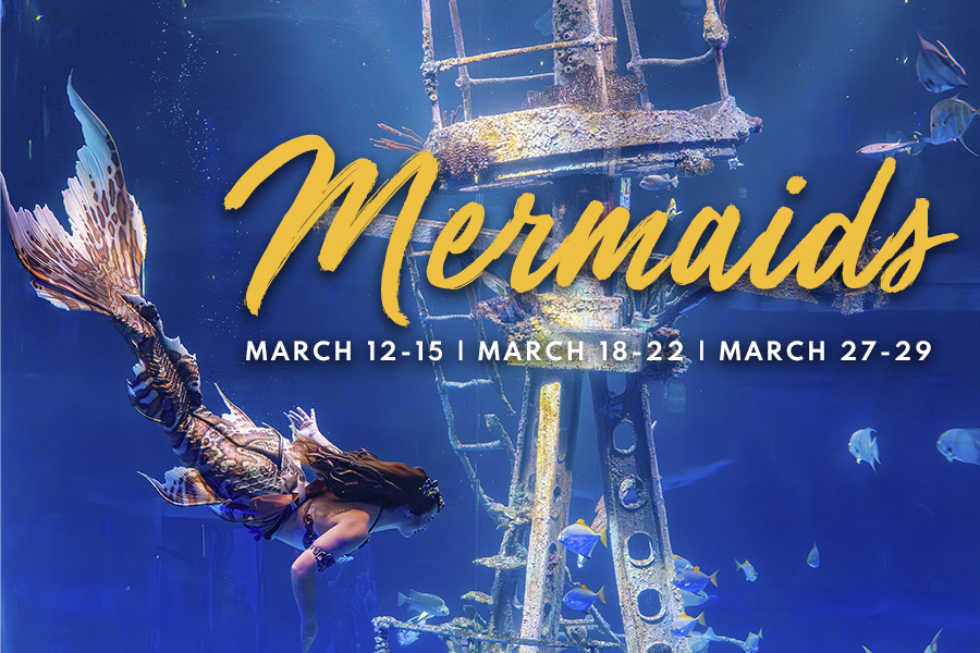 Mermaids MARCH 12-15 | MARCH 18-22 | MARCH 27-29