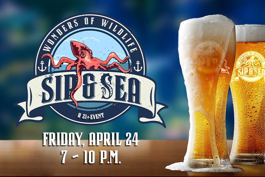 Wonders of Wildlife Sip & Sea 21+ Event Friday, April 24 7-10 p.m.