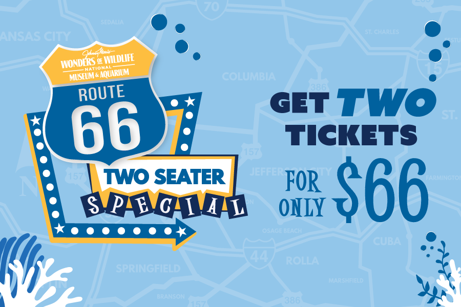 Promotional imagery with text: "Wonders of Wildlife Route 66 Two Seater Special. Get Two Tickets for only $66"