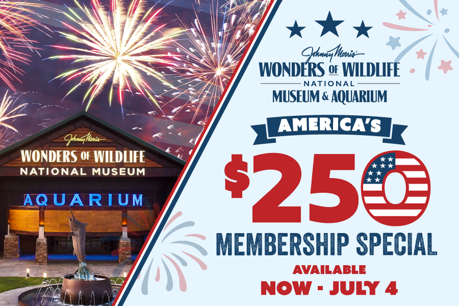 Exterior of Wonders of Wildlife and fireworks in the sky above with text: "WONDERS OF WILDLIFE NATIONAL MUSEUM & AQUARIUM America's $250 Membership Special Available NOW - JULY 4"