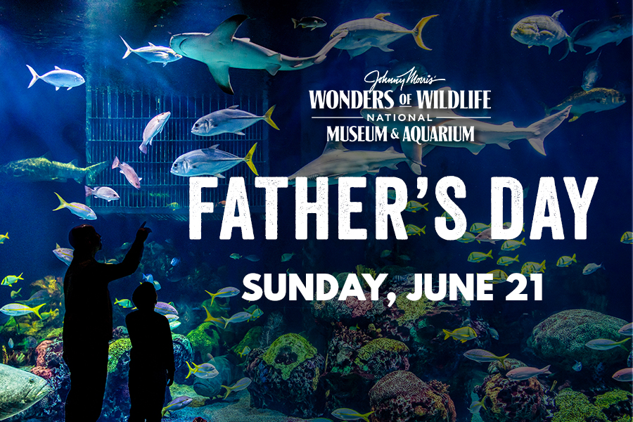 Father and child silhouettes stand in front of an aquarium with text saying: Wonders of Wildlife National Museum & Aquarium Father's Day Sunday, June 21