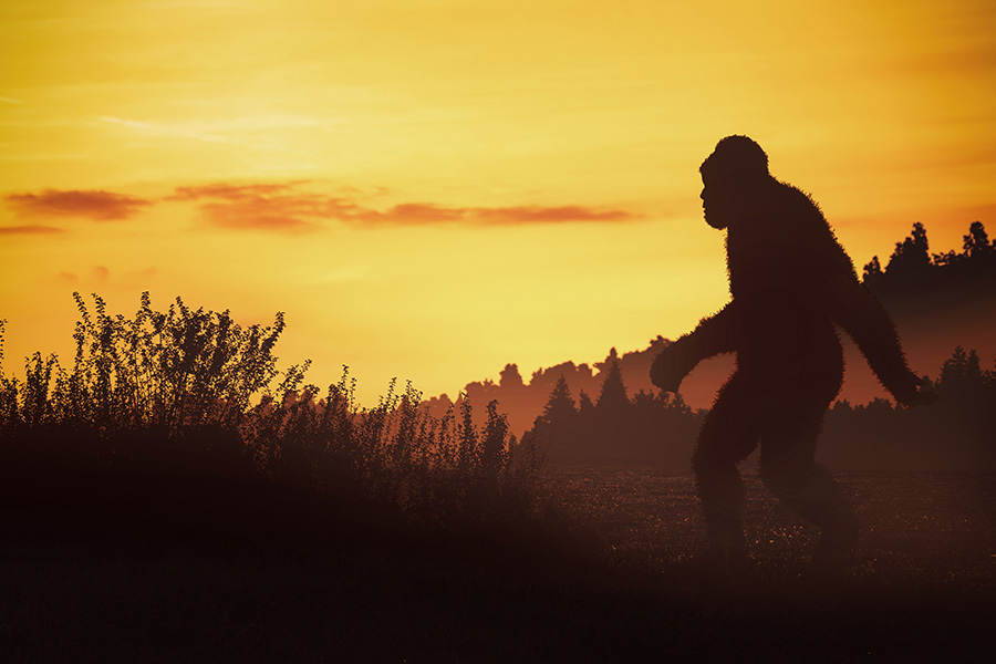 A silhouetted image of a large bigfoot walking through a landscape.