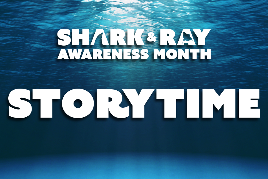 Underwater background with text: "Shark & Ray Awareness Month Story Time"