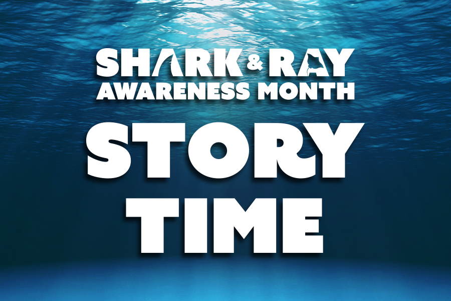 Underwater background with text: "Shark & Ray Awareness Month Story Time"