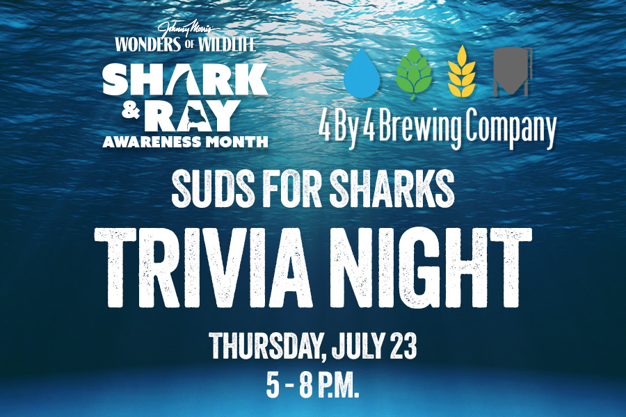 Underwater with text: "Wonders of Wildlife Shark and Ray Awareness Month. Suds for Sharks Trivia Night 4 by 4 Brewing Company Thursday, July 23 5-8 p.m.