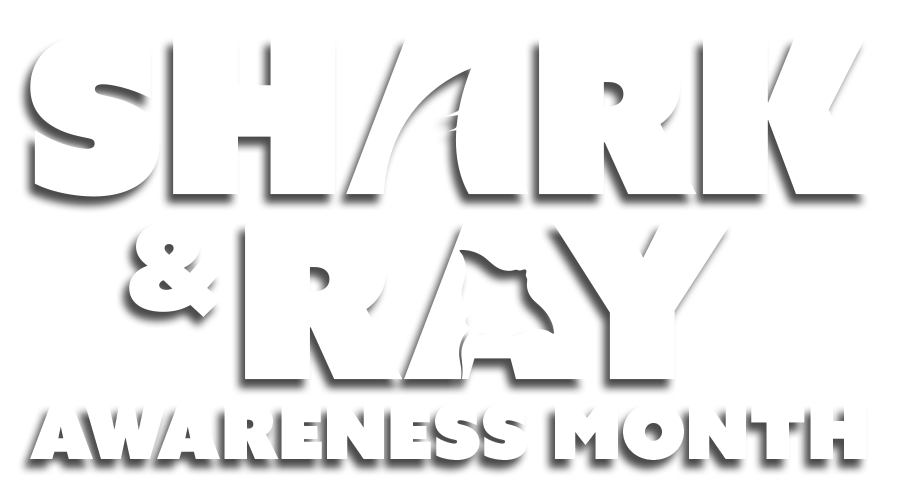 Shark & Ray Awareness Month