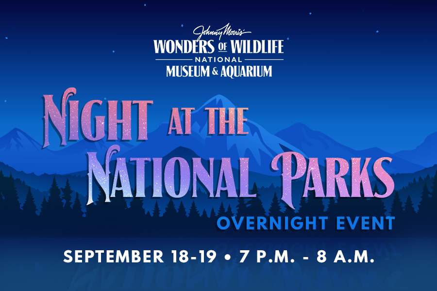 Illustration of a night time landscape of mountains and a forest above a lake with text: "Wonders of Wildlife National Museum and Aquarium Night at the National Parks Overnight Event September 18-19 • 7 p.m. - 8 a.m."