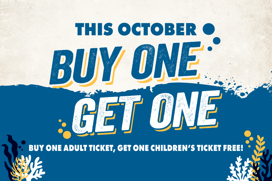 Text "This October Buy One, Get One Buy one adult ticket, get one children's ticket for free!"