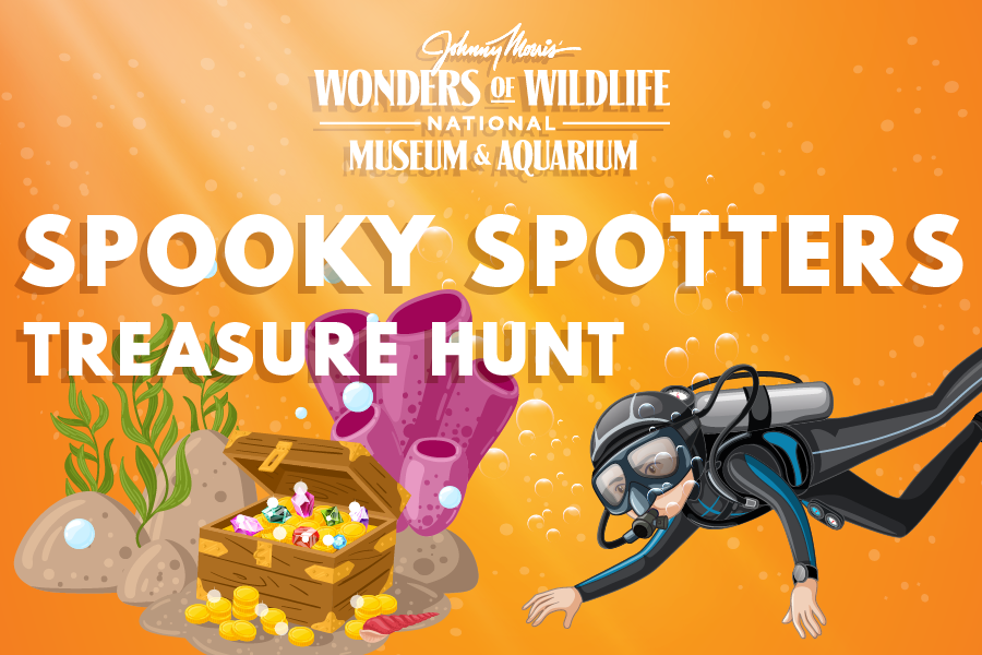 Orange backtground with text: "Wonders of Wildlife National Museum and Aquarium Spooky Spotters Treasure Hunt"