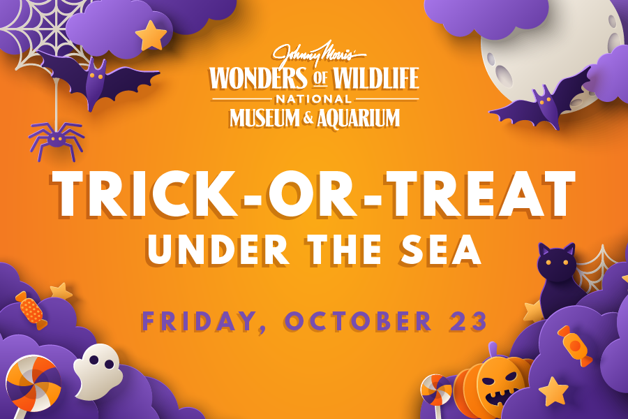 Orange background with purple clouds, candy, a spider, a cat, Jack-O-Lanterns and stars with text: "Wonders of Wildlife National Museum and Aquarium Trick-or-Treat Under the Sea Friday, October 23"