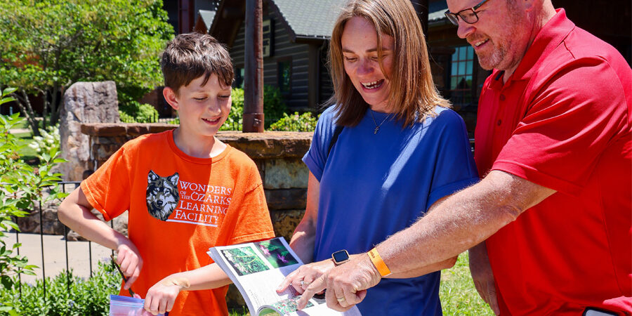 2026_WOW_Volunteer_FamilyVolunteer_Header_900x600