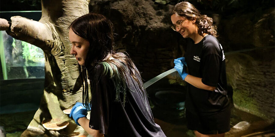 A set of volunteers aid in feeding the fish in the Amazon exhibit at Wonders of Wildlife.